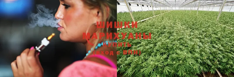 Бошки Шишки OG Kush  даркнет сайт  Грязи 